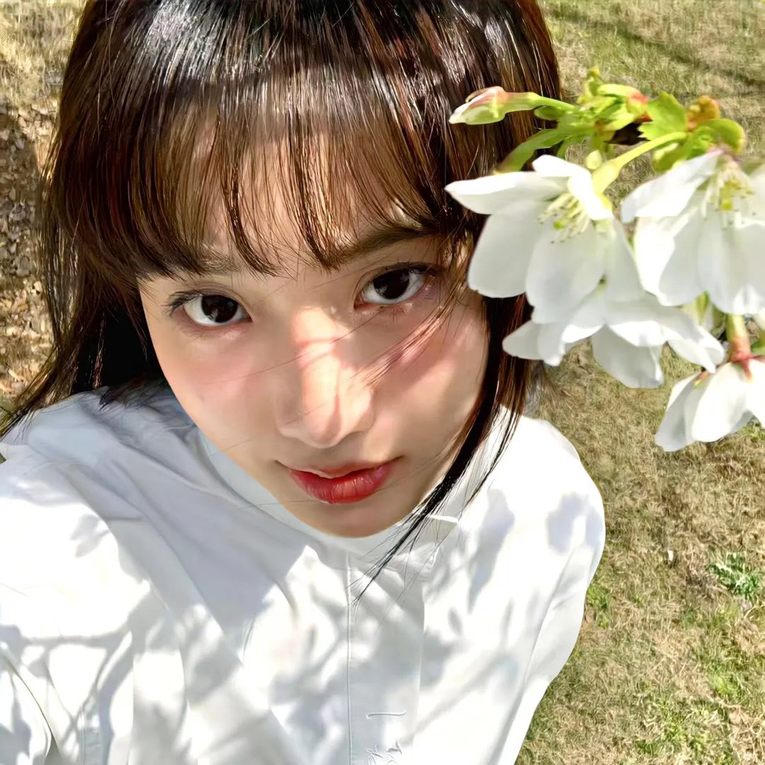 温哥华的朝日